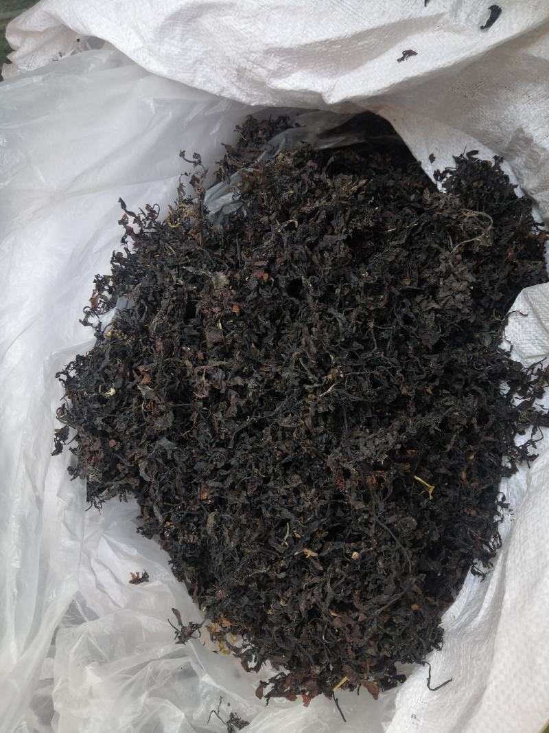 无硫无添加海藻农产品产地直销量大从优