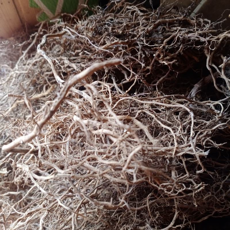 牛尾菜，牛尾参，贵州本地水洗无泥干货一手货源，欢迎订购