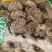 蜂房统装500g产地山东振兴药材购销站量大从优