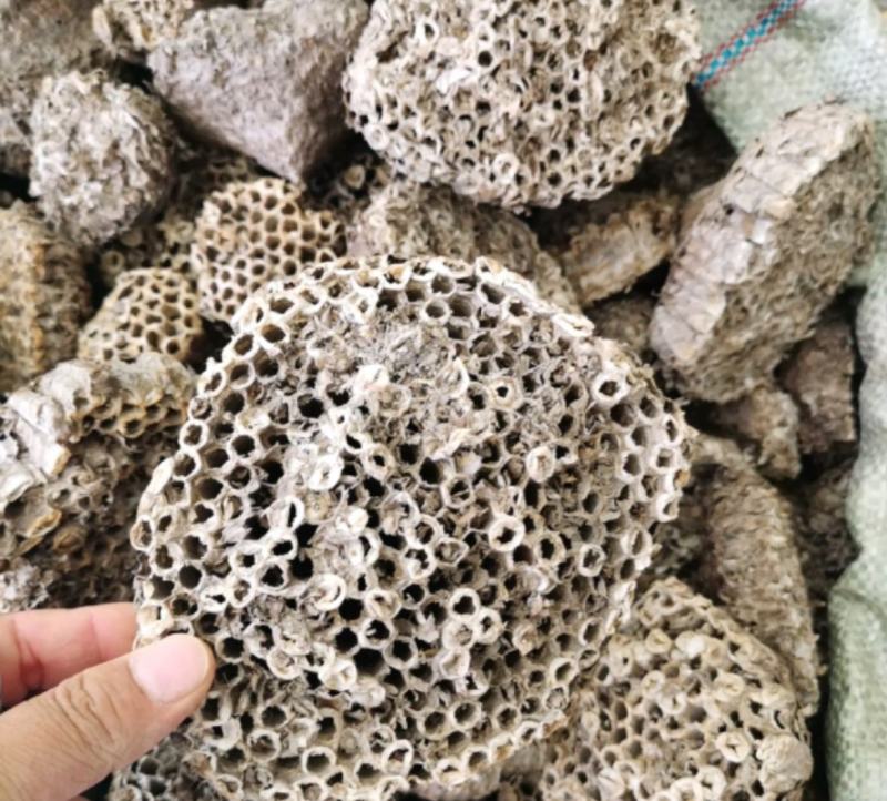 蜂房统装500g产地山东振兴药材购销站量大从优