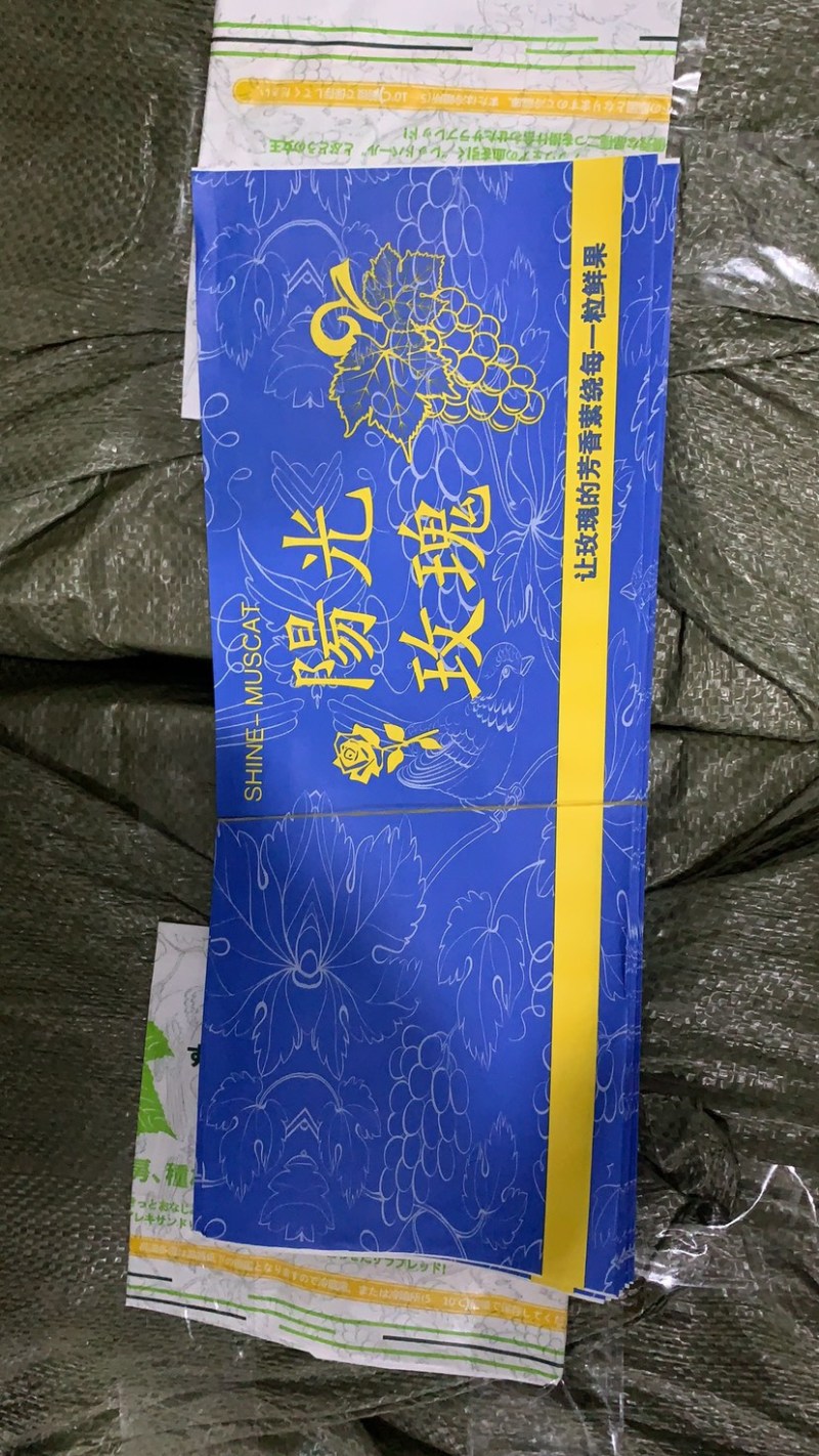 中文款精品阳光玫瑰包装袋晴王葡萄包装袋源头厂家