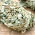 中药材金钱草中草药野生四川小叶金钱草广西大叶金钱草广金钱