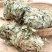 中药材金钱草中草药野生四川小叶金钱草广西大叶金钱草广金钱