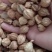 香砂，常年批发供应药食同源香砂，量大从优，货真价实