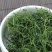 深山绞股蓝甘味七叶绞股蓝500新茶细嫩七叶参七叶胆