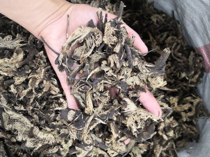 升麻无硫升麻片新货中药材批发零售
