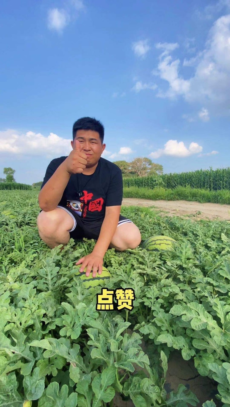 吉林西瓜林丰2020西瓜个头大，货源充足品质保证欢迎合作