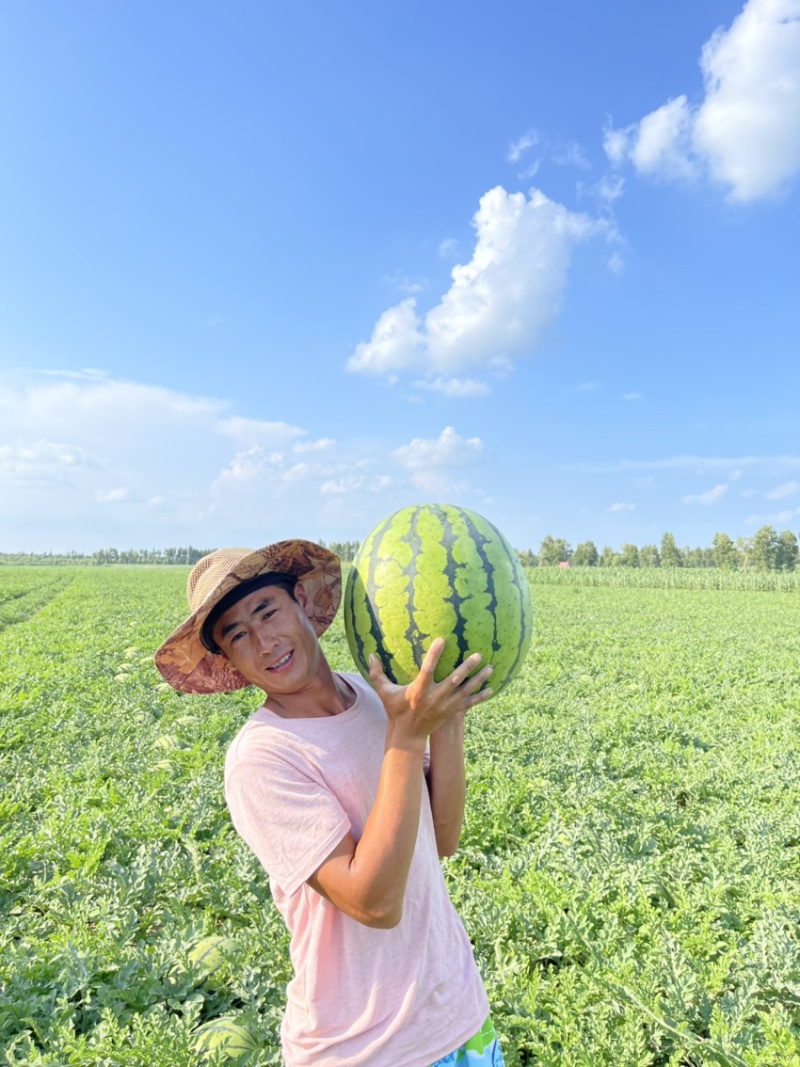 吉林西瓜林丰2020西瓜个头大，货源充足品质保证欢迎合作
