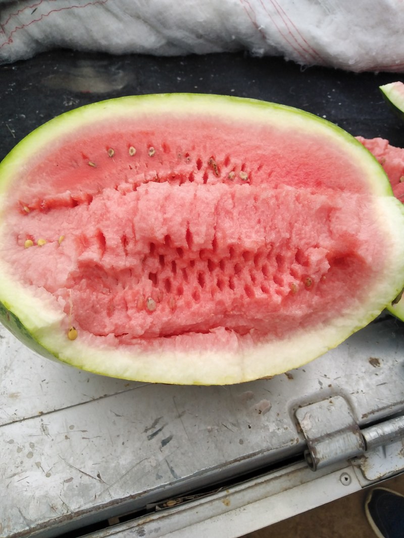 陕西咸阳永寿西瓜