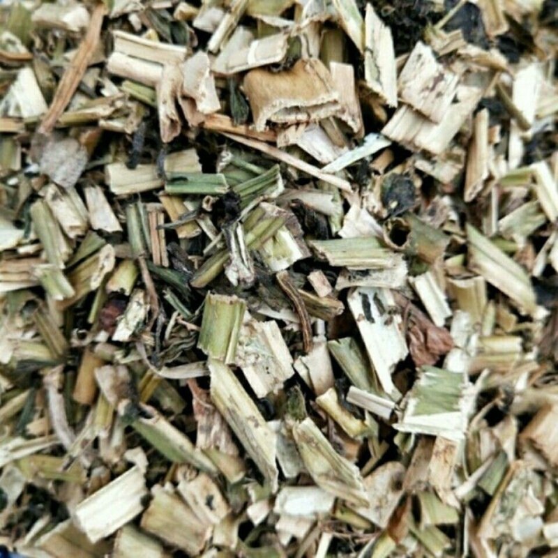 中药材正品龙葵野生干龙葵草新鲜干货龙葵50