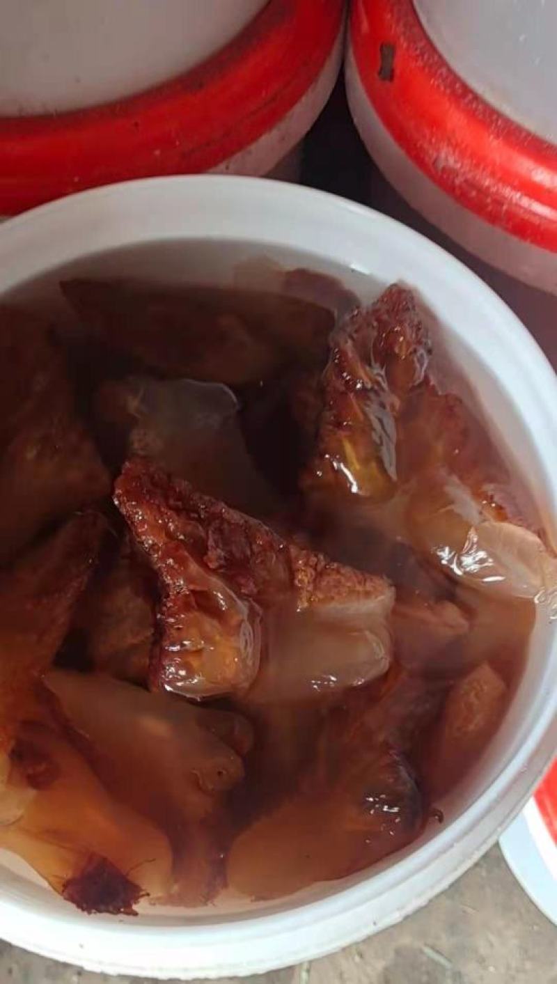海蜇头绵蜇红蜇头大中小3种规格产地直发可视频看货不包邮