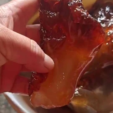 海蜇头绵蜇红蜇头大中小3种规格产地直发可视频看货不包邮