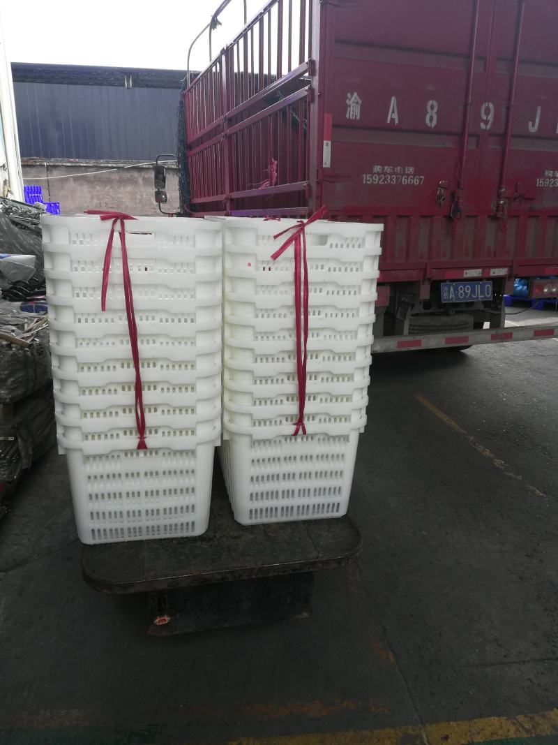 塑料筐厂家直供水果筐西瓜筐柑橘筐食品级周转箱