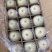 静宁红富士白秦冠红秦冠