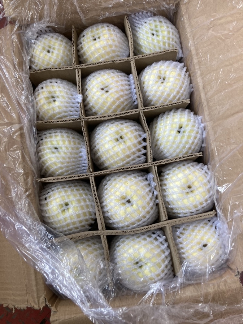 静宁红富士白秦冠红秦冠