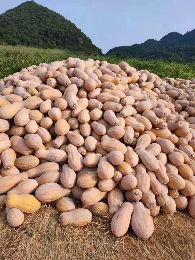 南瓜