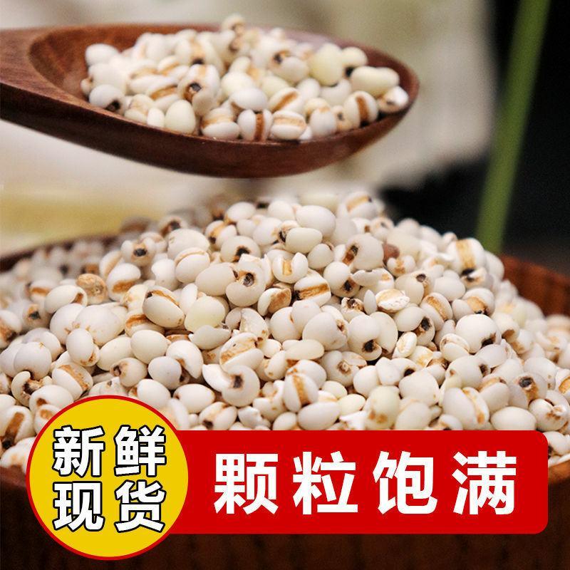薏米仁五谷粗粮薏米药食同源一公斤起批