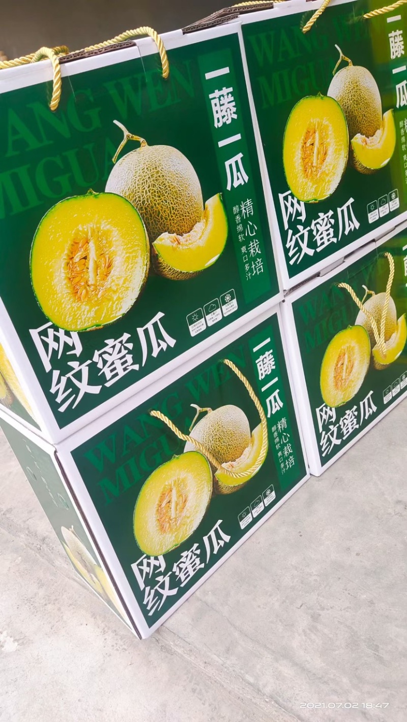 海阳网纹蜜瓜玫珑静冈，支持一件代发和整车供货