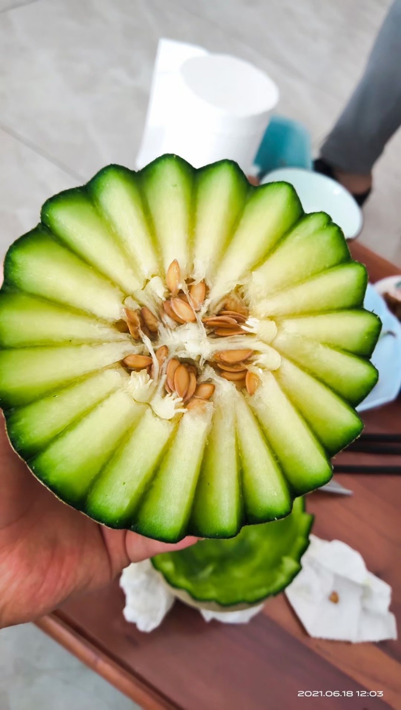 海阳网纹蜜瓜玫珑静冈，支持一件代发和整车供货