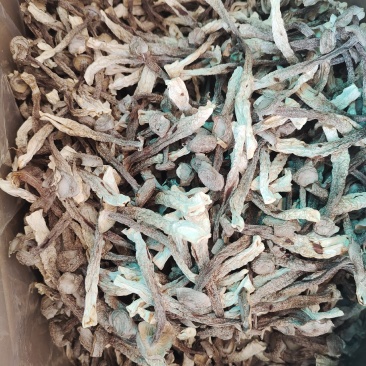 产地直销，鹿茸菇