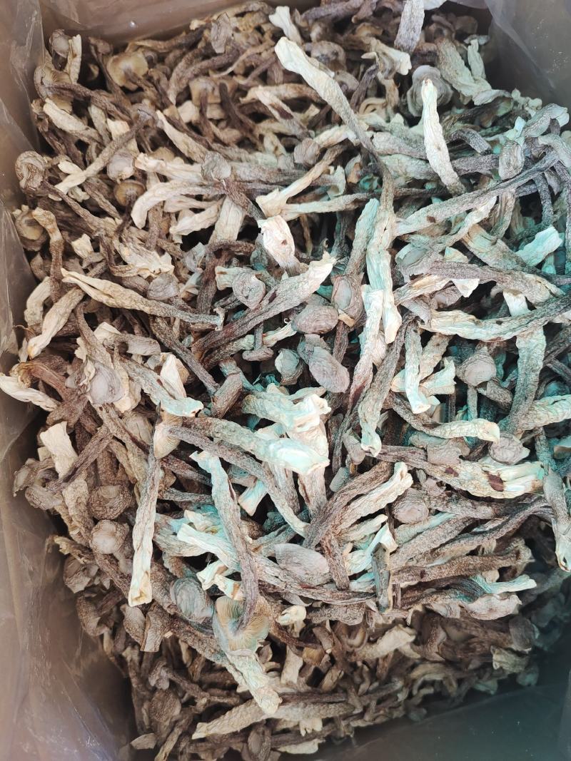 产地直销，鹿茸菇