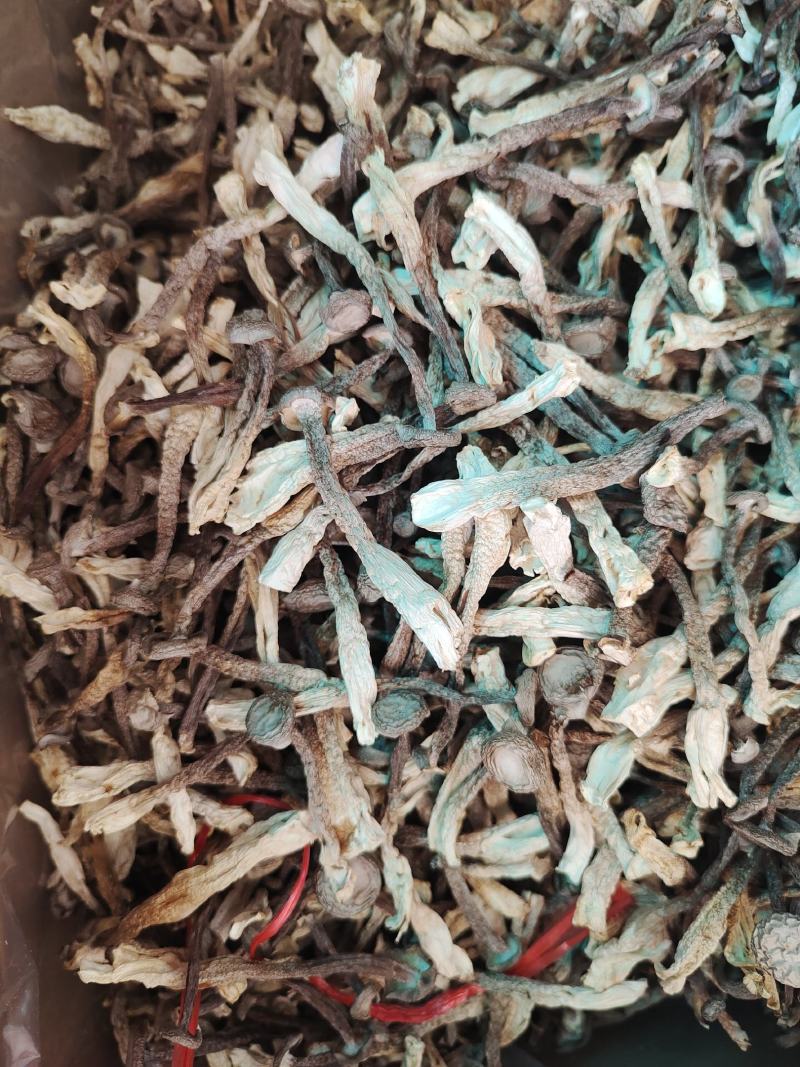 产地直销，鹿茸菇