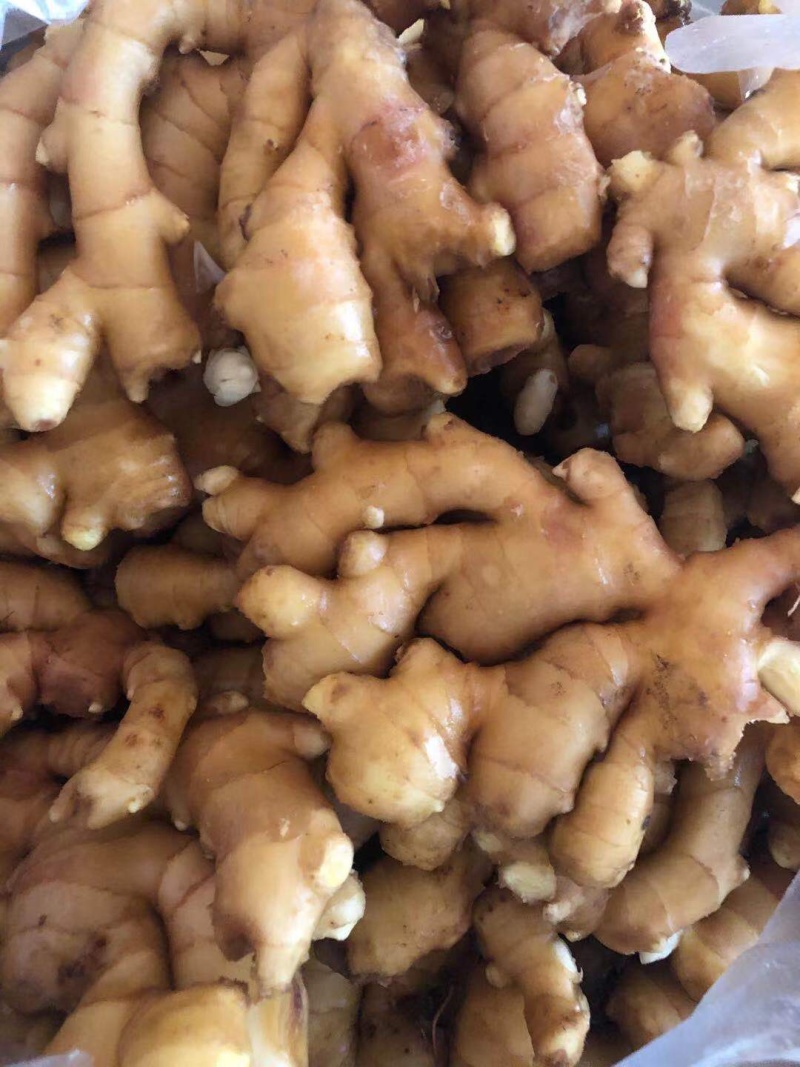生姜，优质黄姜，电商货视频看货，质优价廉