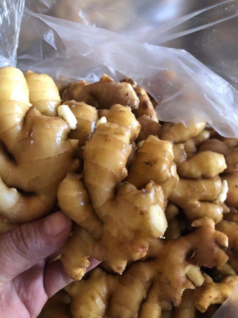 生姜，优质黄姜，电商货视频看货，质优价廉