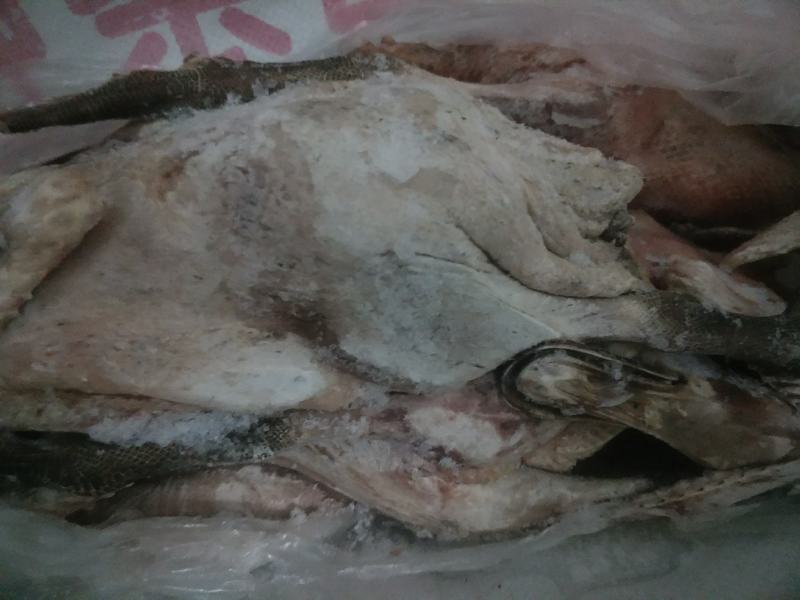 1年半左右的鸡，鸭白条