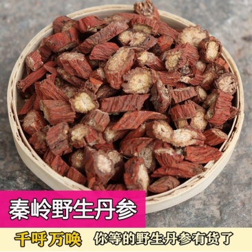 秦岭野生丹参500g特级2020新货丹参片无硫丹参中药材