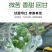 三七花茶2021年特级云南文山正品田七养生花茶食用一斤装