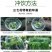 三七花茶2021年特级云南文山正品田七养生花茶食用一斤装