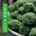 三七花茶2021年特级云南文山正品田七养生花茶食用一斤装
