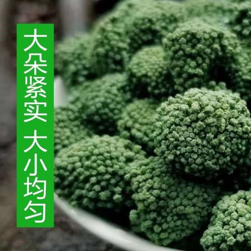 三七花茶2021年特级云南文山正品田七养生花茶食用一斤装