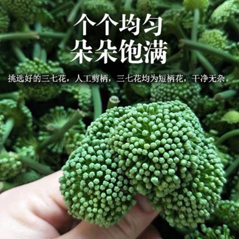 三七花茶2021年特级云南文山正品田七养生花茶食用一斤装