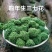 三七花茶2021年特级云南文山正品田七养生花茶食用一斤装