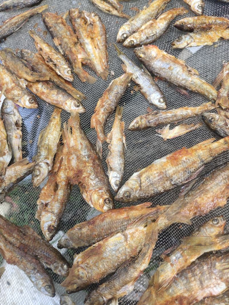 小溪火烘鱼