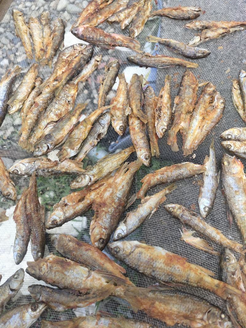 小溪火烘鱼