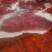 猪肉，后腿肉，生鲜，冻肉