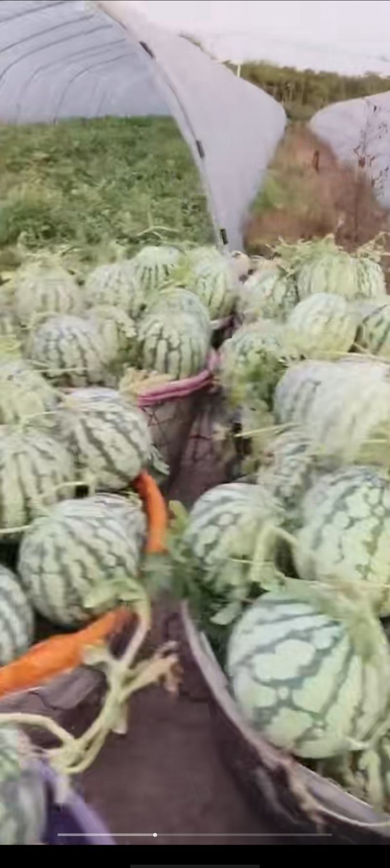 自产自销