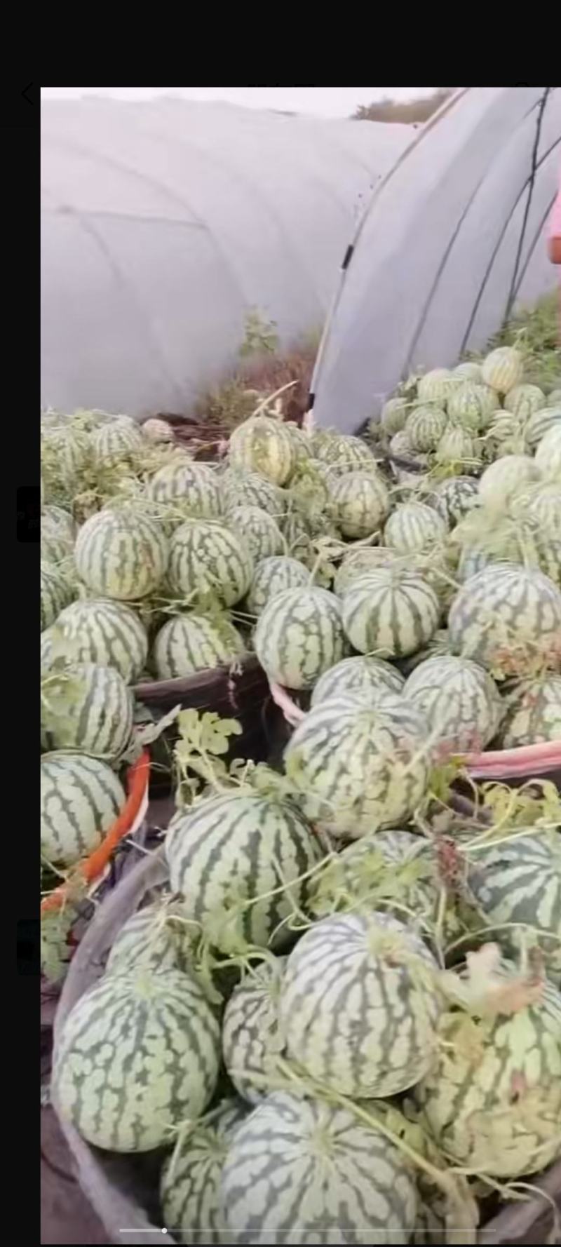 自产自销