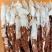 大凉山，野生鸡枞菌，应季产品，产地直销，物美价廉