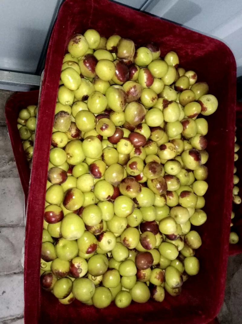鲜枣，冬枣
