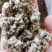 厂家直供优质棉籽壳，货源充足，保质保量。