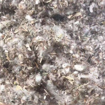 厂家直供优质棉籽壳，货源充足，保质保量。