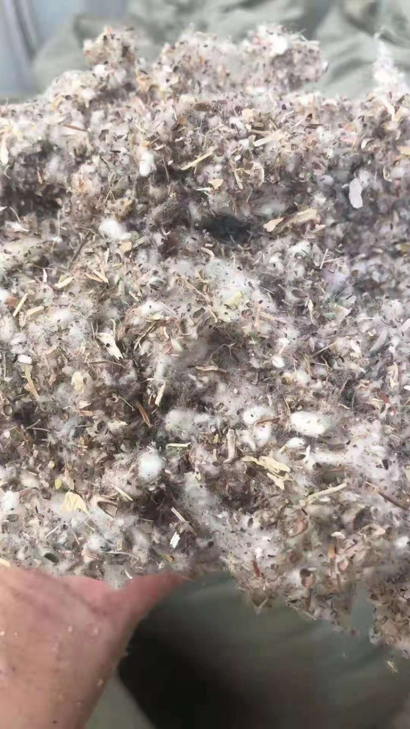 厂家直供优质棉籽壳，货源充足，保质保量。