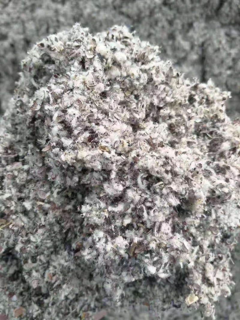 厂家直供优质棉籽壳，货源充足，保质保量。