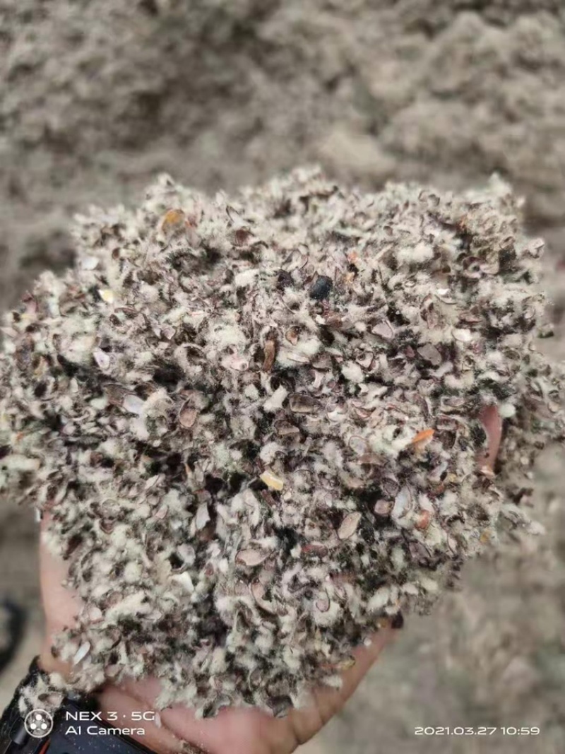 厂家直供优质棉籽壳，货源充足，保质保量。