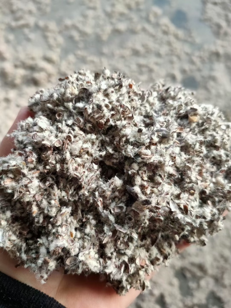 厂家直供优质棉籽壳，货源充足，保质保量。