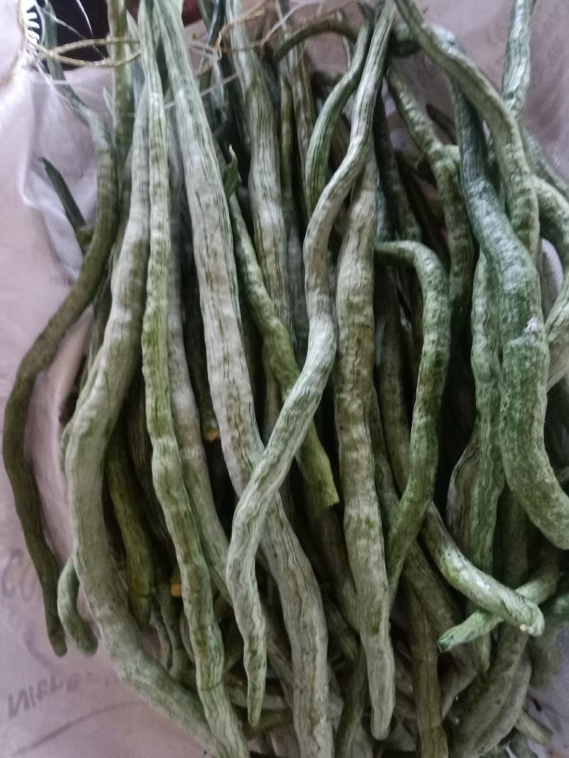 云南普洱蛇豆也叫蛇瓜_鲜货